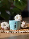 fleur de coton 120g.webp