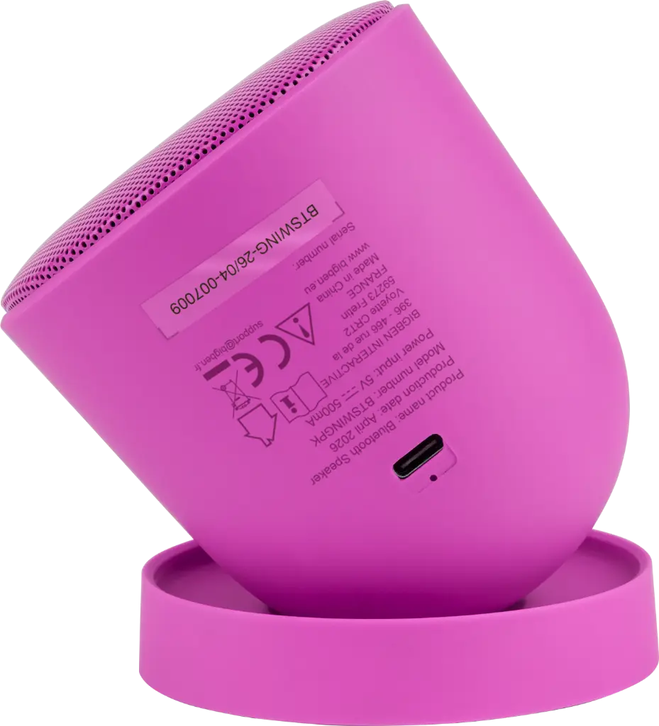 btswingpk_04.webp
