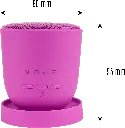 btswingpk_03.webp