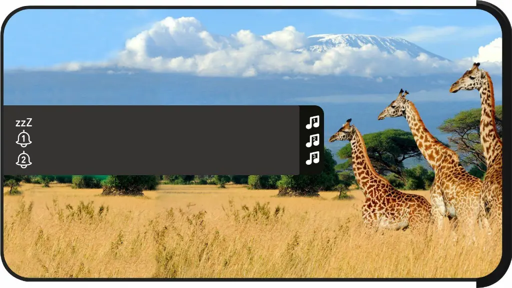 01682359_004.webp