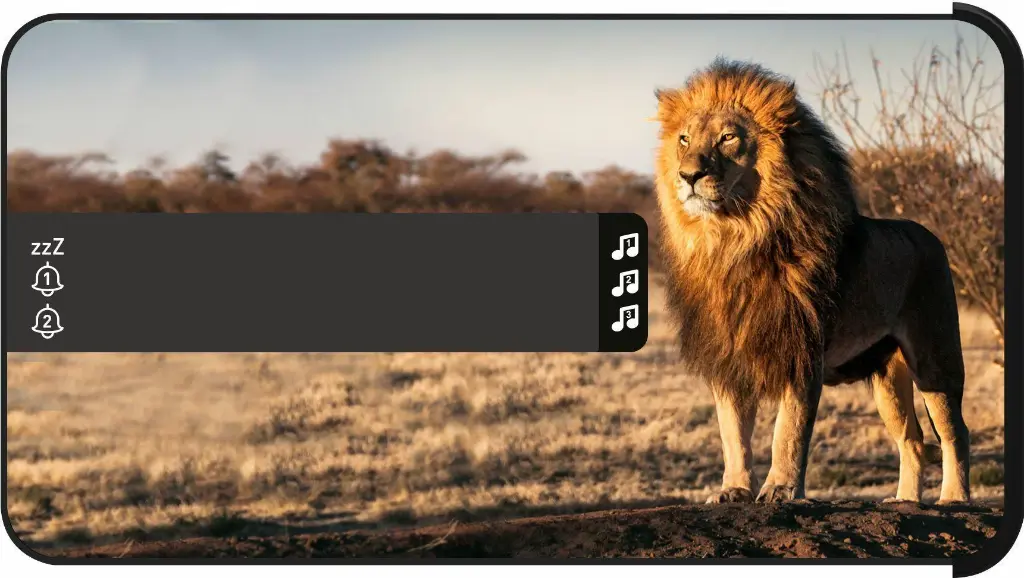 01682359_003.webp