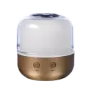 Diffuseur d’huiles essentielles