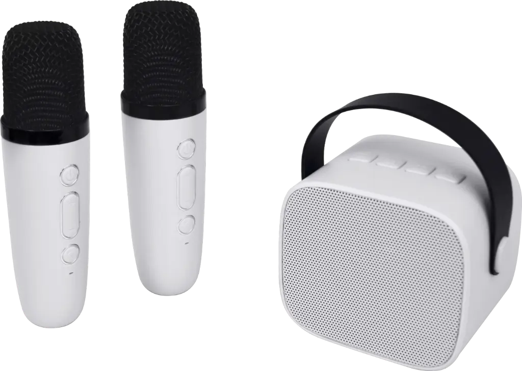 Enceinte karaoké + 2 micros sans fil
