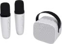 Enceinte karaoké + 2 micros sans fil